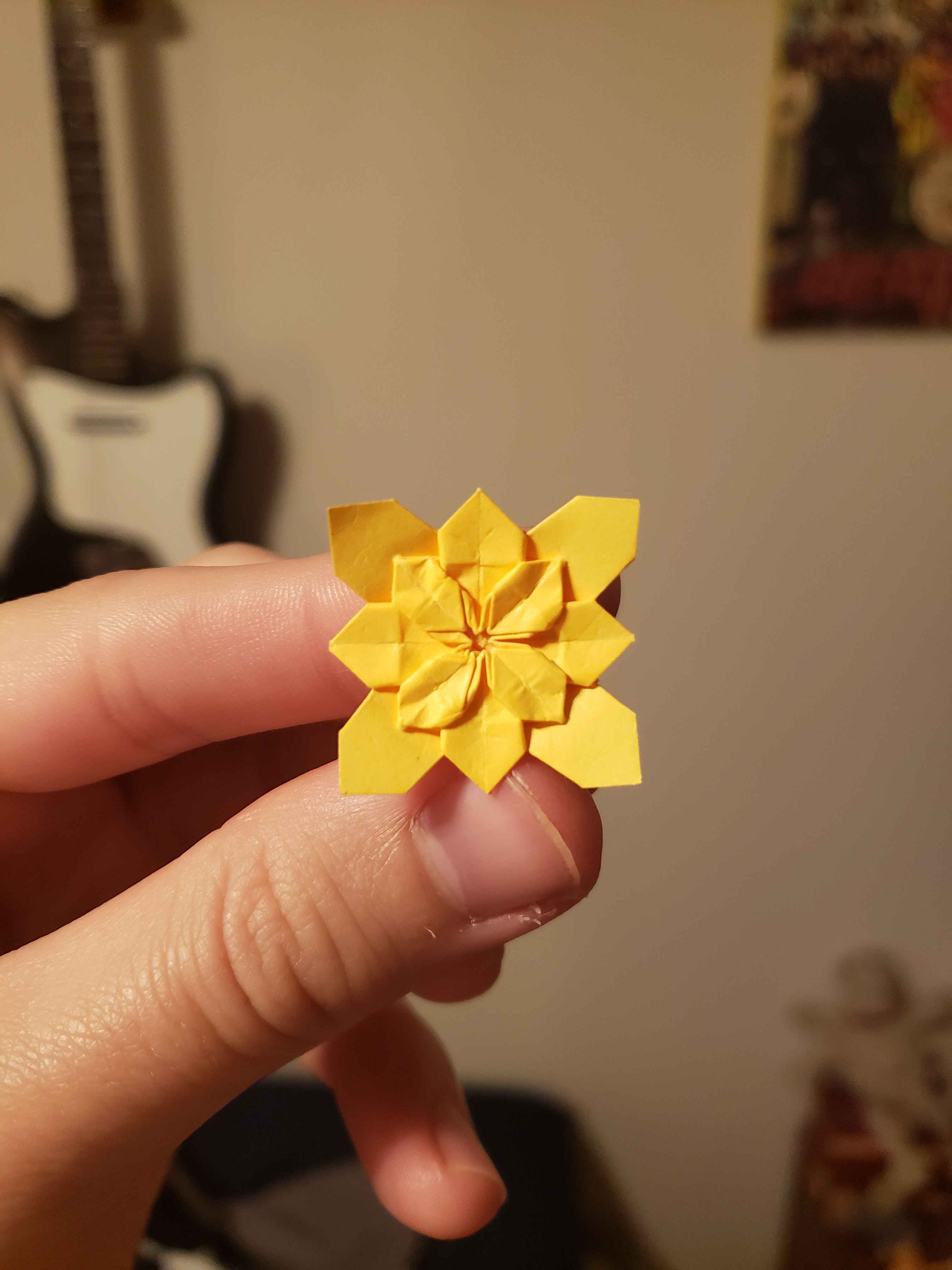 Mini Hydrangea
